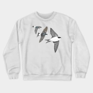 House Martins Crewneck Sweatshirt